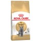 Royal Canin British Shorthair adult  - британски късокосмести котки над 12 месеца  400 гр.